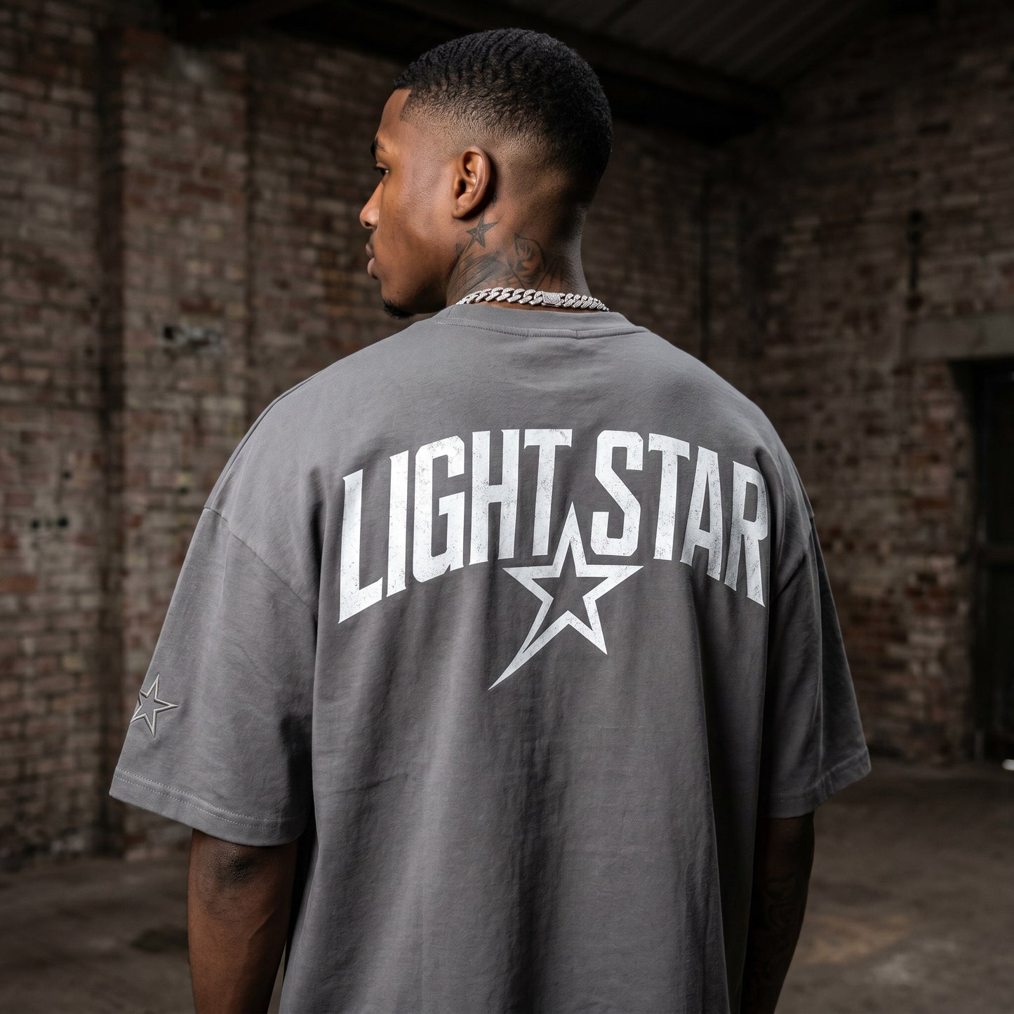 LS Star Arch Heavy Tee Cement Grey back